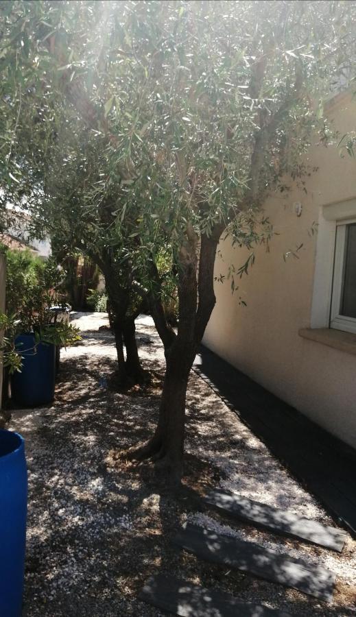 Apartament Majopau Boujan-sur-Libron Zewnętrze zdjęcie